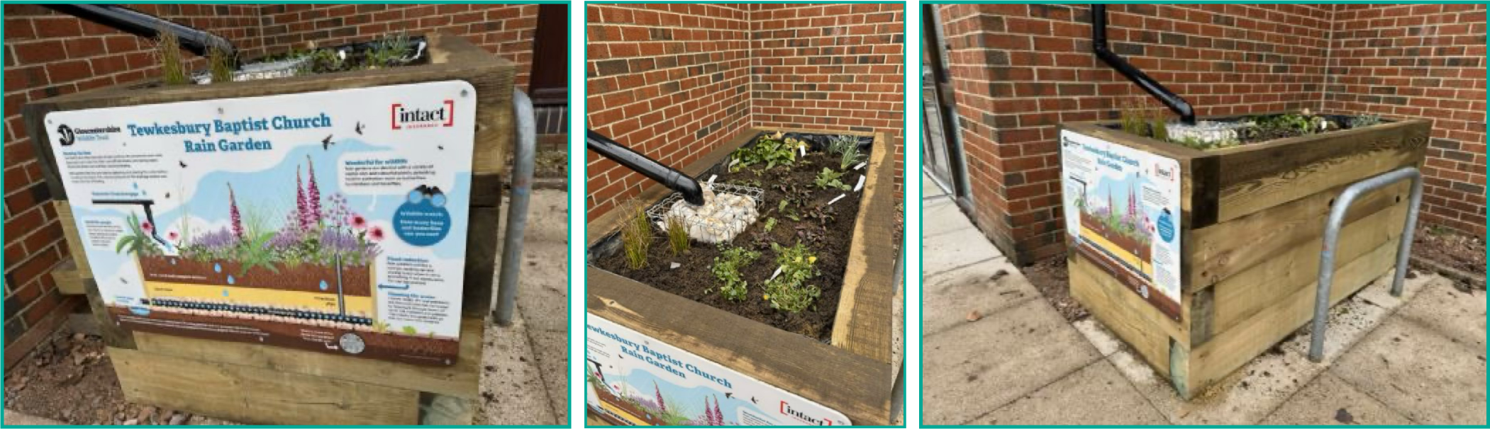 Rain Garden